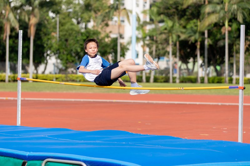 20181123-b223.jpg