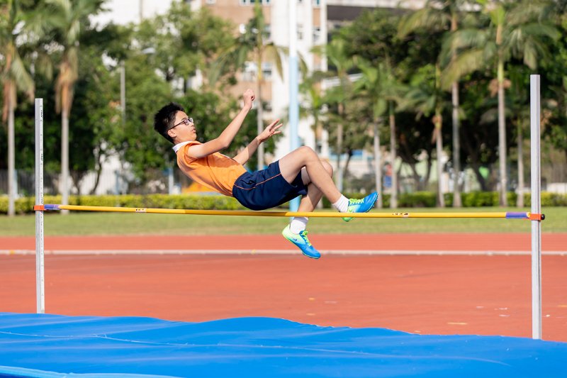 20181123-b224.jpg